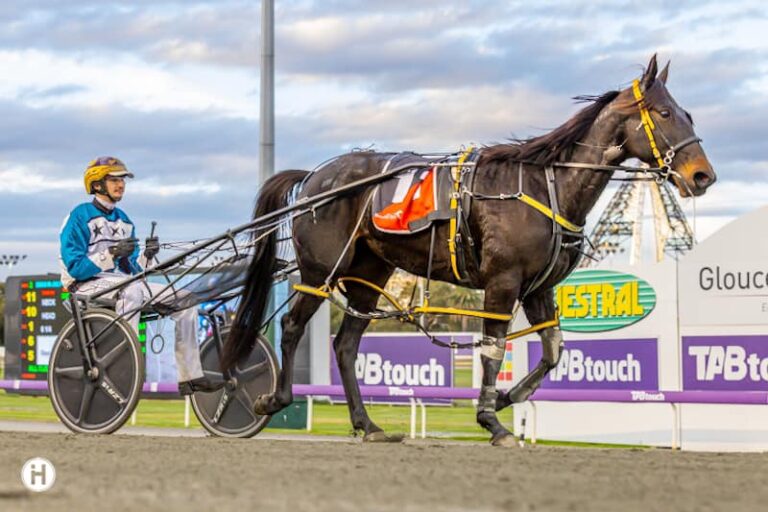 Nullarbor Navajo 120523