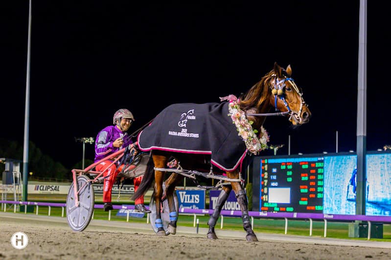 Taking The Miki 050523