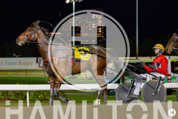 Talks Up A Storm 120523