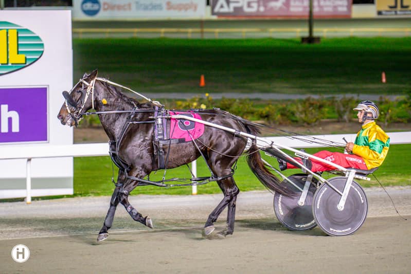 Valentines Brook 050523