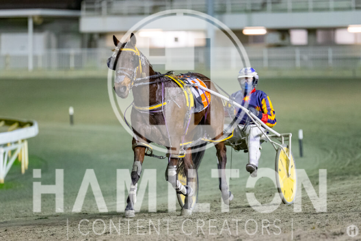 mr fantastic – hall jnr 290722