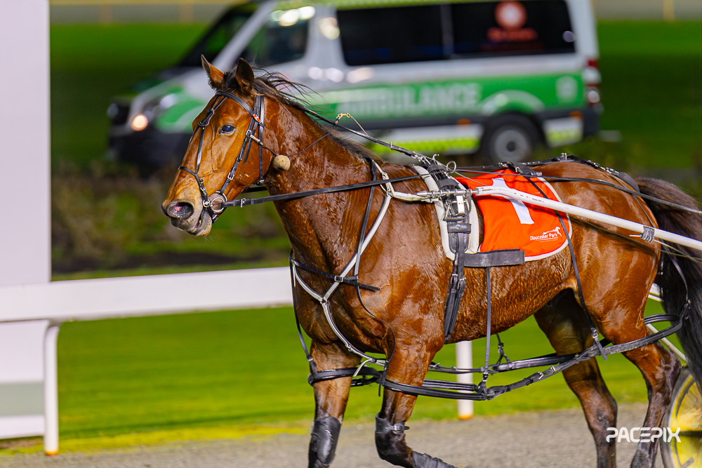 Blue Blazer – 280723