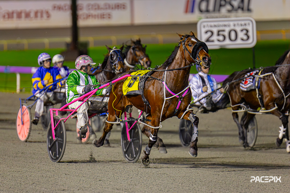 Carabao – C Voak 280723