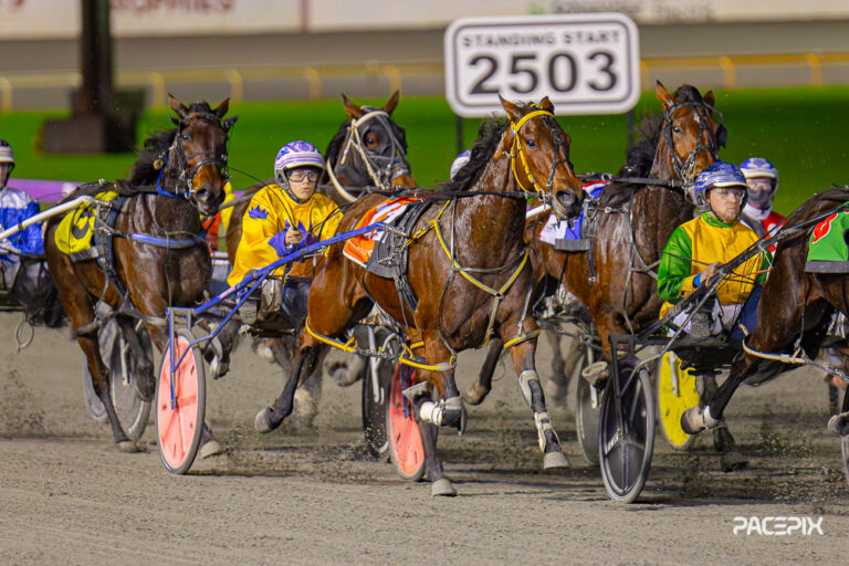 Cyclone Banner – D Roberts 280723