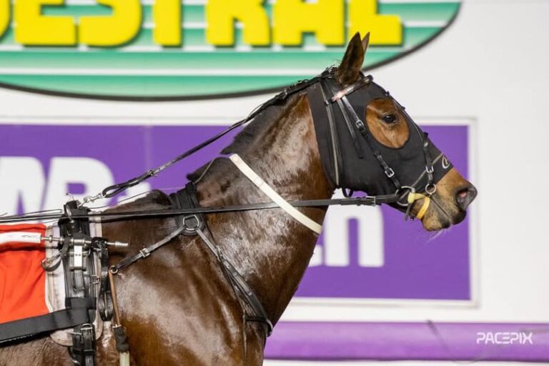 Faster Than Dad 070723