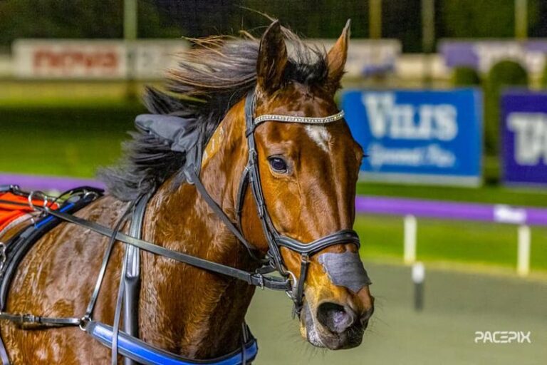 Mighty Conquerer 300623