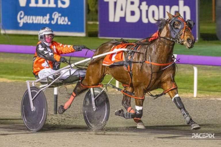 Moonlight Drive 300623