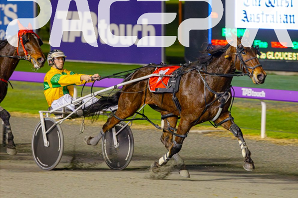 The Code Breaker 300623