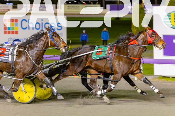 Watching Our Coin 300623