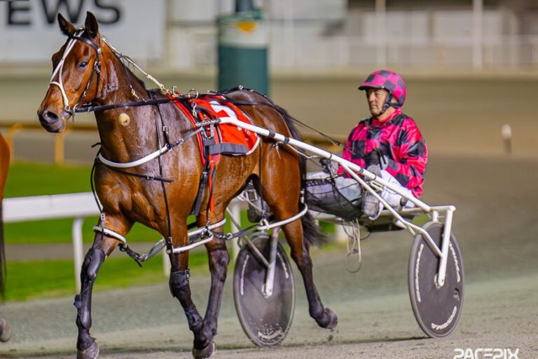 Blitzembye – S Suvaljiko 180823