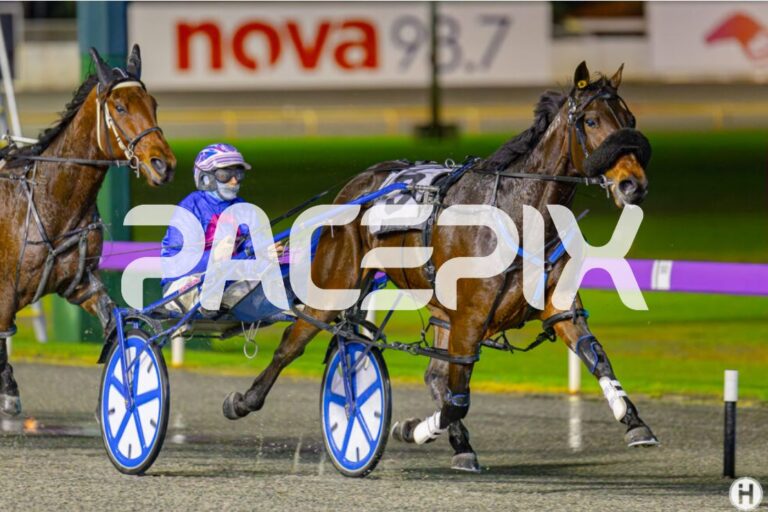 Cotton On – D Roberts 060623