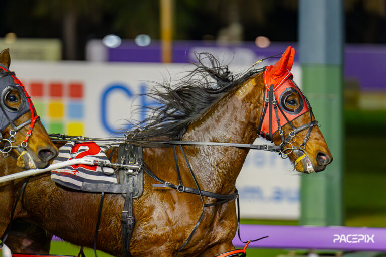 Watts Up Sunshine 110823