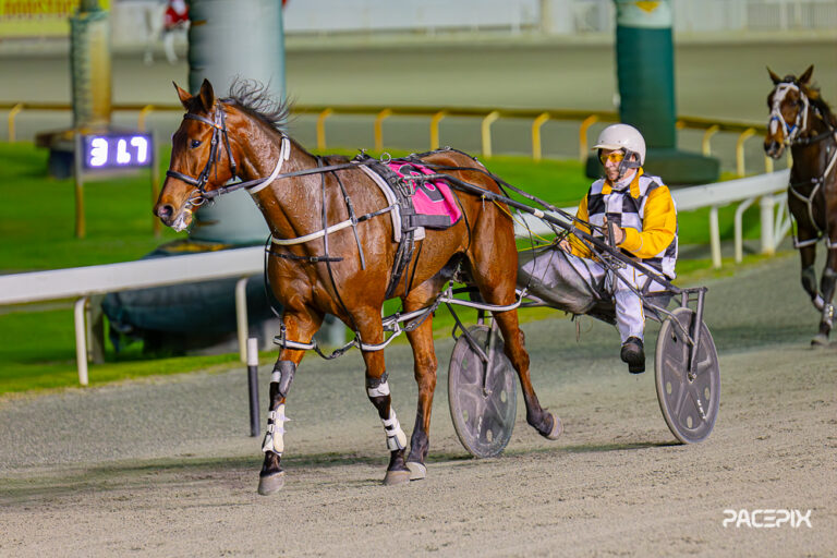 Wonderful To Fly – S Young 250823