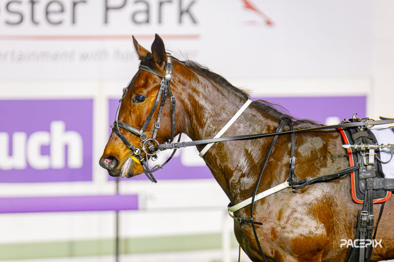 Xceptional Arma 2 210723