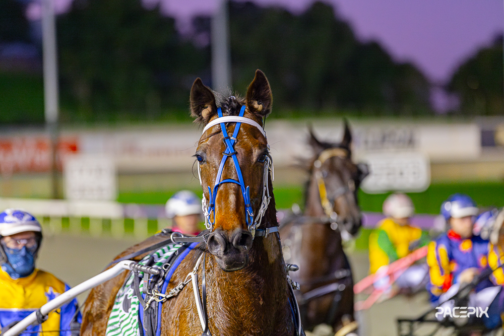 Youre So Fine- G Hall 040823