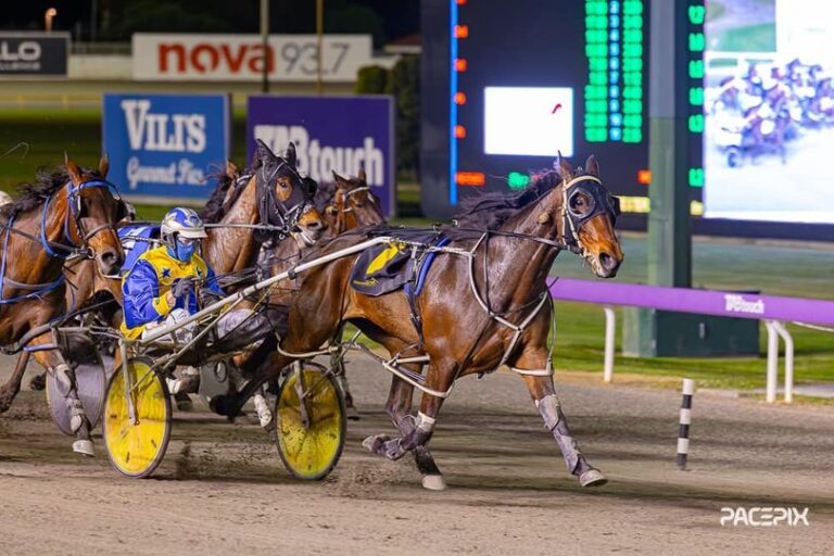 Acharne Girl – Hall Jnr 220923