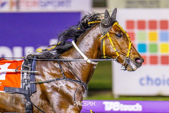 El Casanova – 2209023