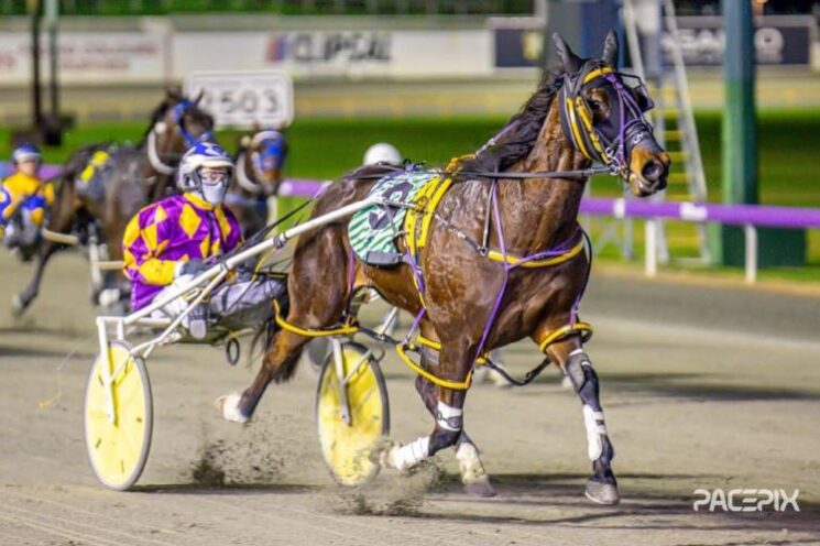 Never Ending – G hall 090823