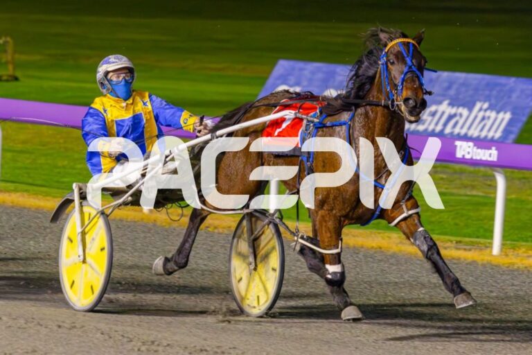 Prince Of Pleasure – Hall 010923