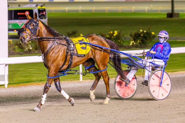 Turn the Page – D Roberts 220923