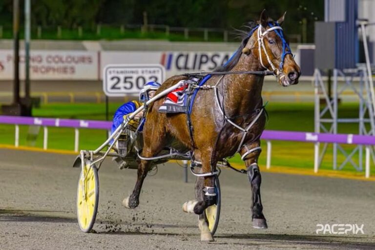 Your So Fine – G Hall 010923