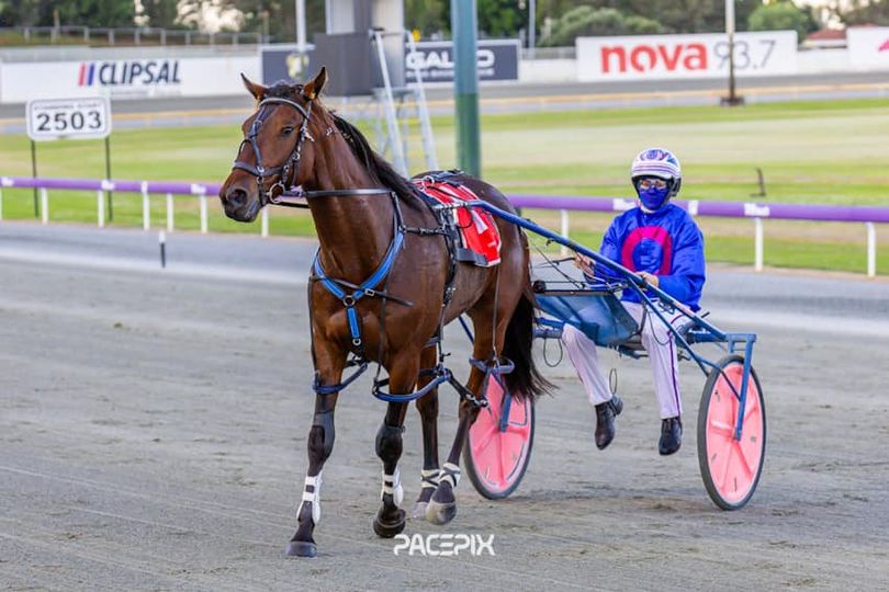 Fess Up – D Roberts 131023