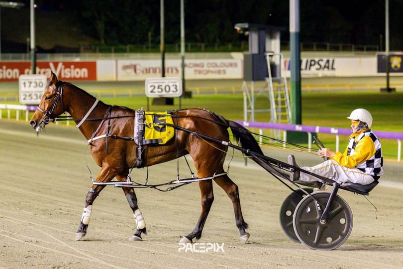 Wonderful To Fly – S Young