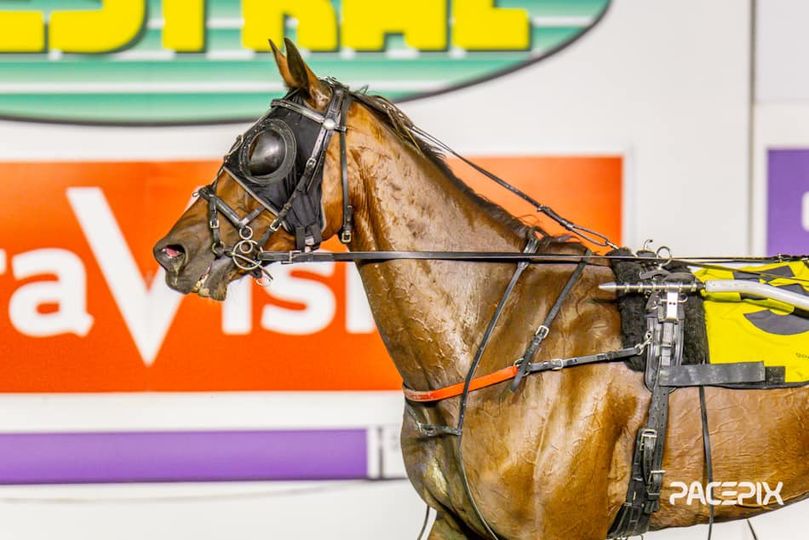 Better Move Along 151223