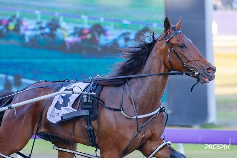 Flying Rumour 221223