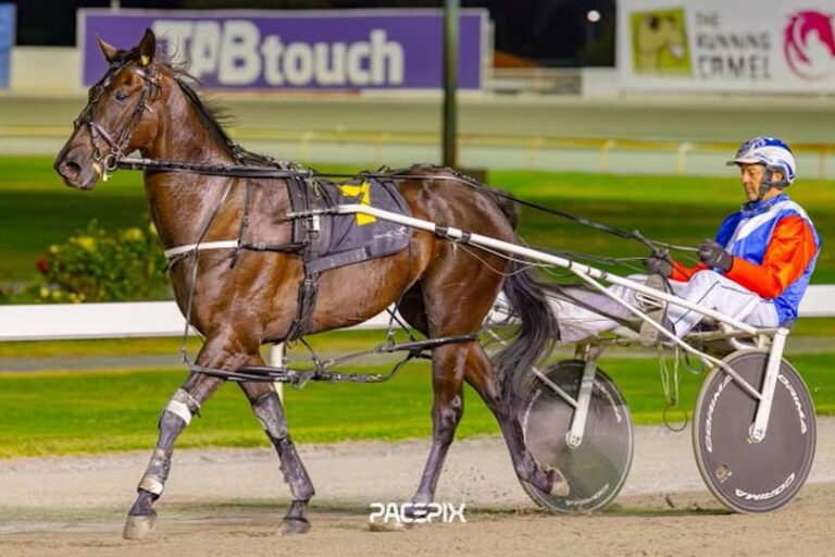 Holy Hecka – S Suvaljko 21223