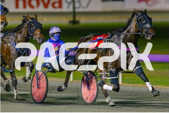 Minstrel -1 D Roberts 051023