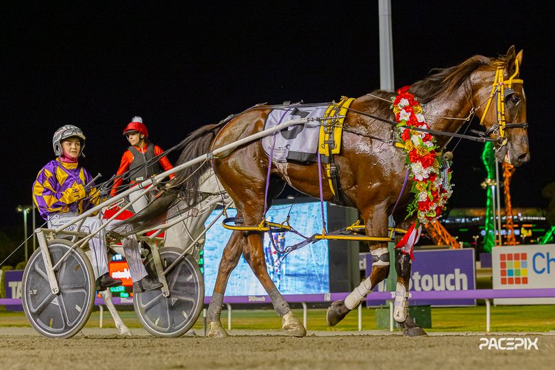 Tricky Miki – M Brown 151223