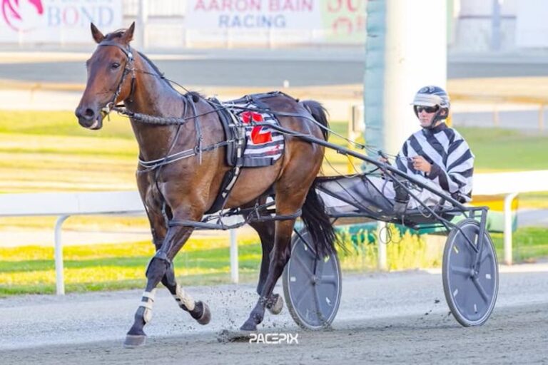 Acuto – K Symington 050123