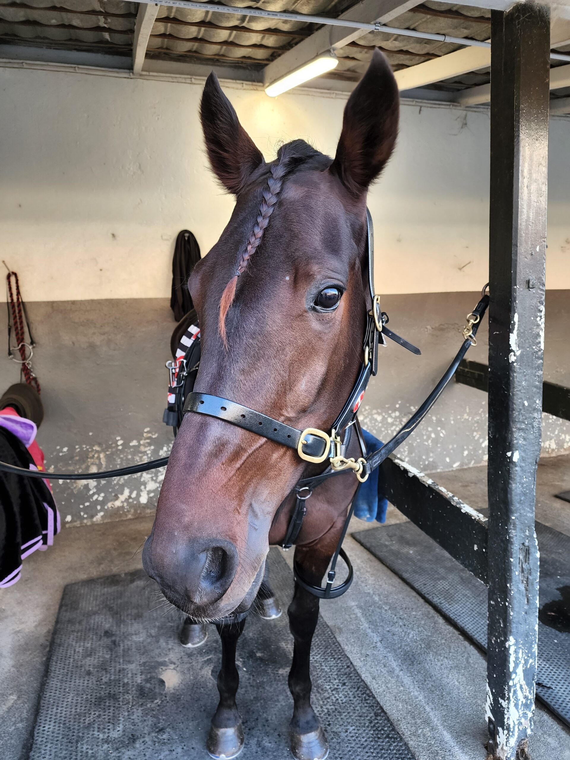 Middlepage pre race 1