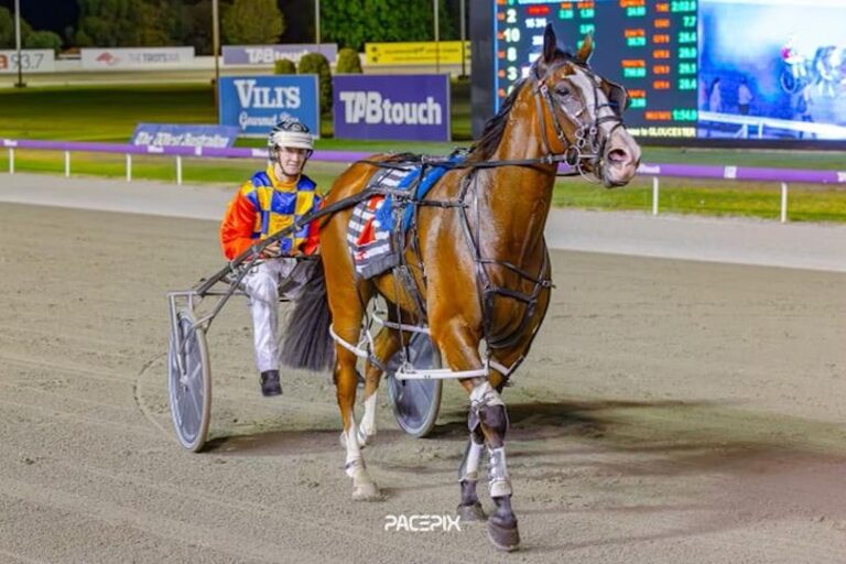 Show Pony – K Symington 050124