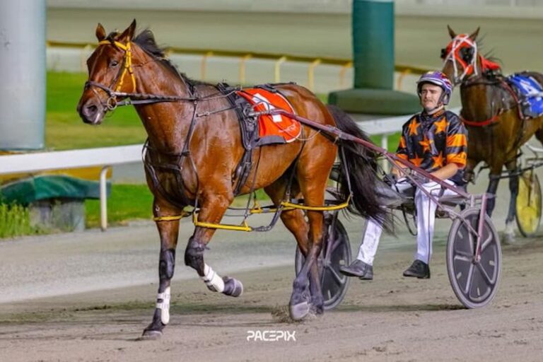 Soho Dow Jones – M Miller 050124