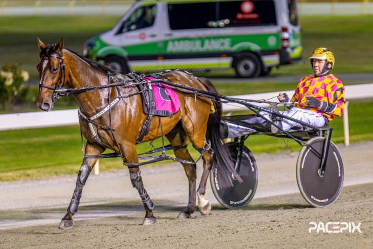 Sugar Apple – L Harper