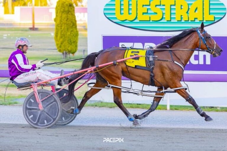 Taking The Miki – C Voak 050124