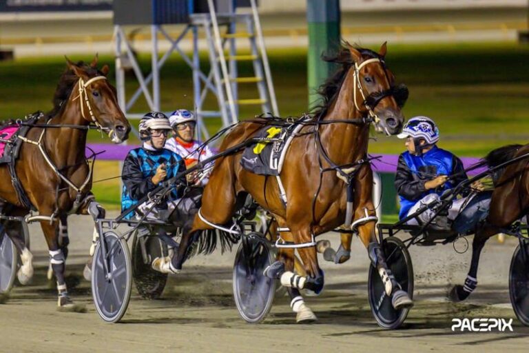 Gregarmy – K Simington 090224