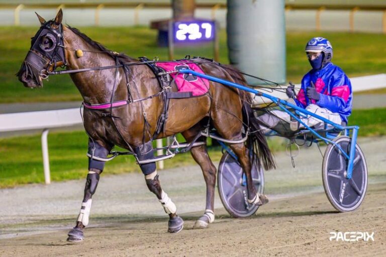 Minstrel – Stuart McDonald 090224