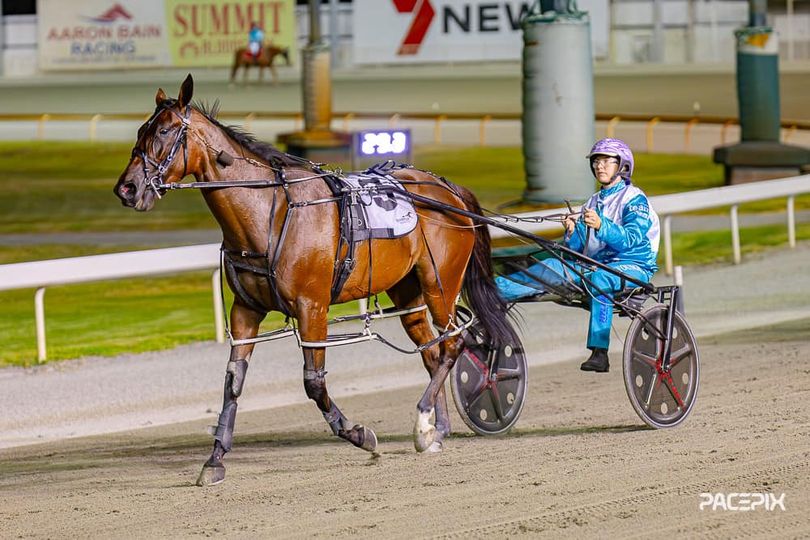 Steno – J Young 230224