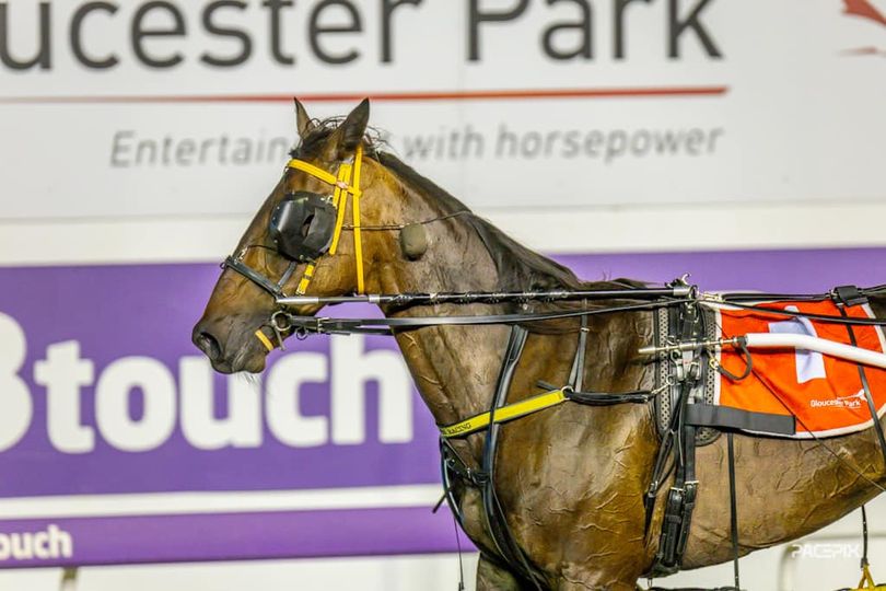 Nullarbor Navajo 080324