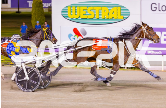 Skylou – M Brown 31124