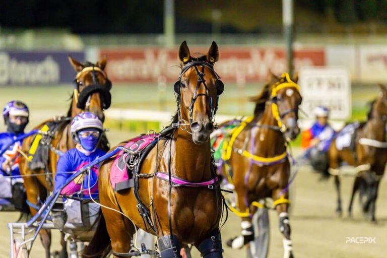 Tenzing Bromac – D Roberts 220324