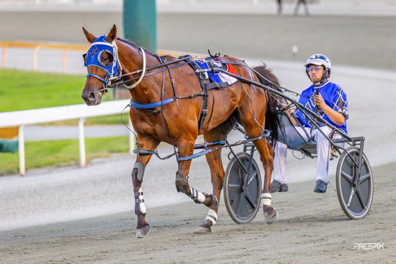 The Miki Taker – A De Campo 080324