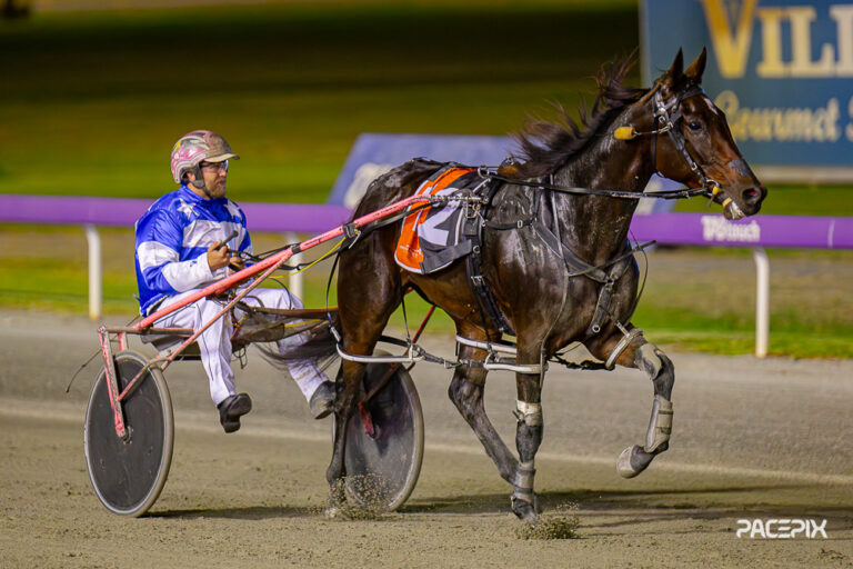 Bet The House – C Voak 260424