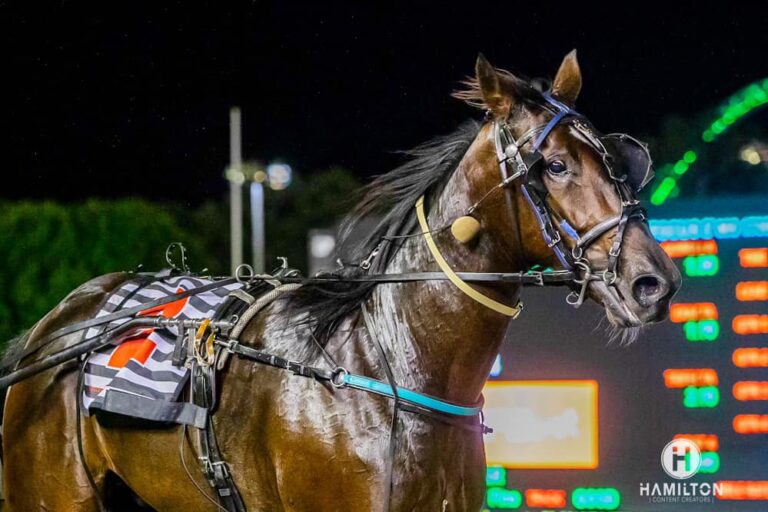 Full Swing Denario 050424