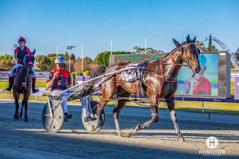 Marbeechsam- R Warwick 050424