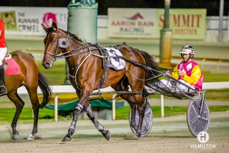 Queeninthecorner K Symington 050424