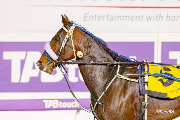 Lil Happy Fella 170524